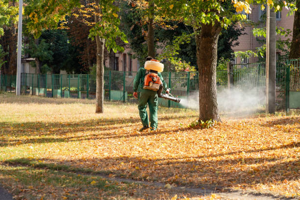 Bird Control in Brownfield, TX